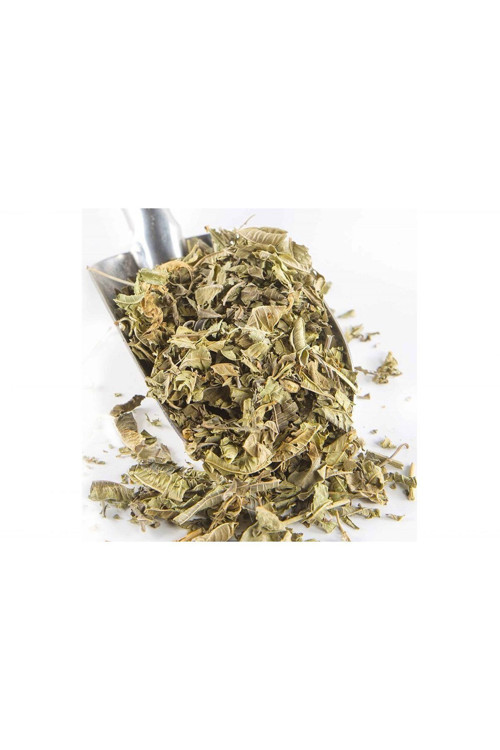 Melisa (Oğul Otu) 250 Gr