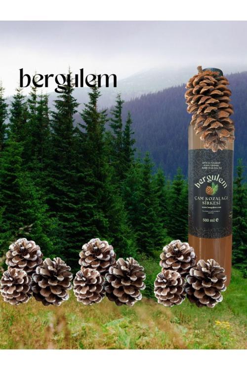 Bergulem Doğal Çam Kozalağı Sirkesi 500 Ml