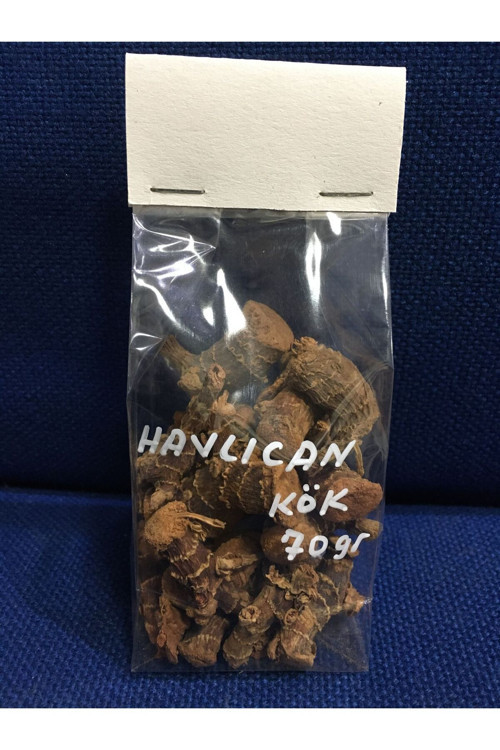 Havlıcan Kök 70 Gr