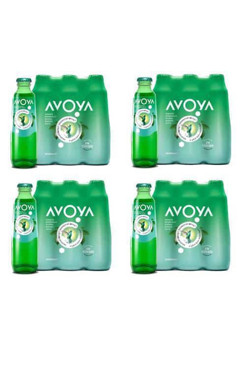 Maden Suyu 200 Ml X 24 Adet