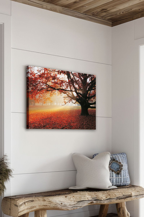 Dekoratif Kanvas Tablo - Fdc200