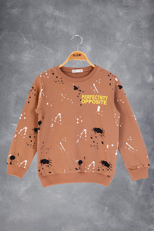 Toontoy Erkek Çocuk Baskılı Sweatshirt