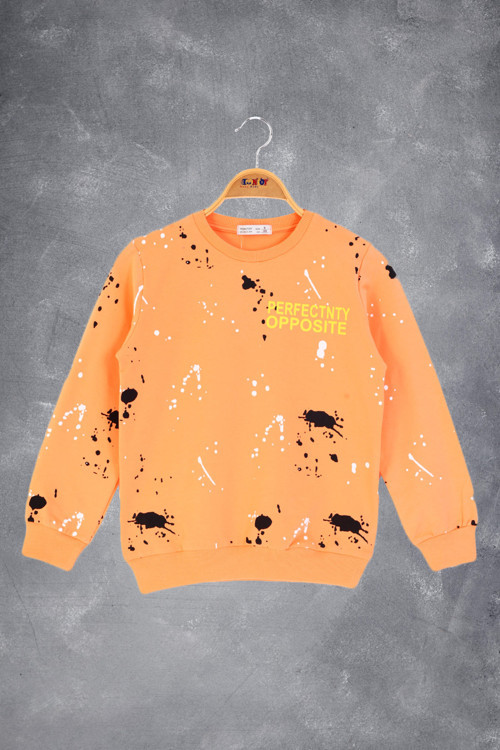 Toontoy Erkek Çocuk Baskılı Sweatshirt