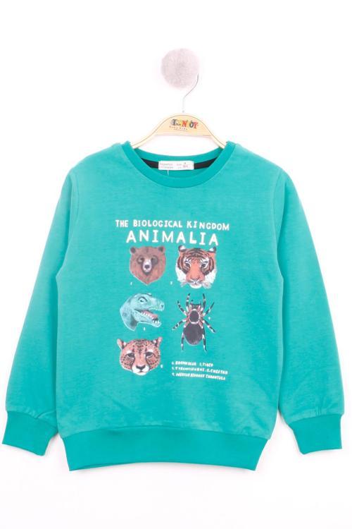 Toontoy Erkek Çocuk Hayvan Baskılı Sweatshirt
