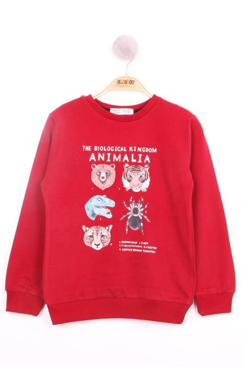 Toontoy Erkek Çocuk Hayvan Baskılı Sweatshirt
