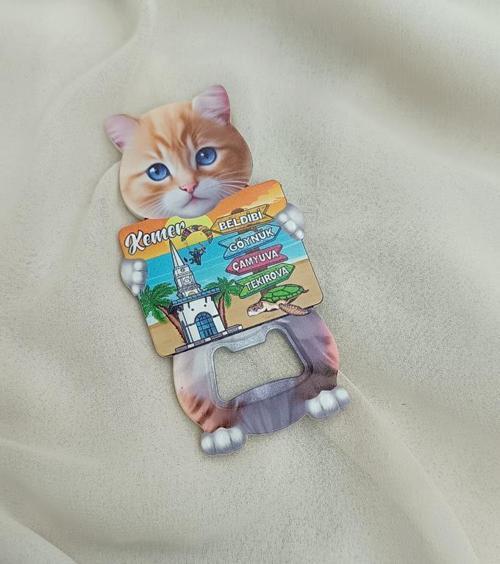Magnet Açacak Gazoz Şişe Açacağı Mıknatıslı Buzdolabı Süsü  Kaplumbağa Kule