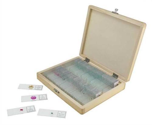 100 Parça Mikroskop Slayt Set