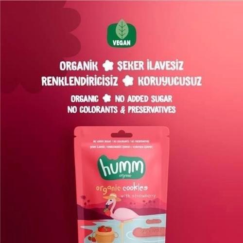 Organik Vegan Çilekli Kurabiye 55 Gr
