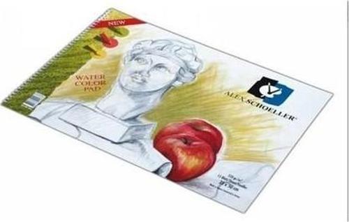 Spiralli Çok Amaçlı Resim Defteri 35X50 Cm 120 Gr 15 Yaprak