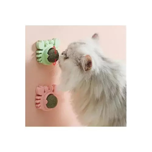 Büro Ev Evcil Hayvanı için Yengeç Kedi Otu Oyunu Topu