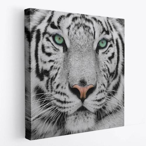 Kaplan Hayvan Temalı Dekoratif Kanvas Tablo, Duvar Dekoru 5807