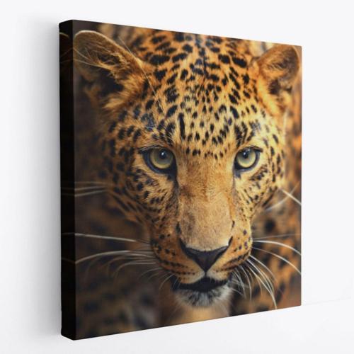 Leopar Hayvan Temalı Dekoratif Kanvas Tablo, Duvar Dekoru 5811