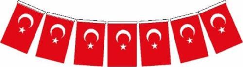 Orta Boy İpli Kağıt Türk Bayrağı 13x8Cm 50 Li Vt807