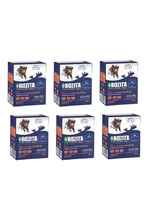 Somon Balıklı Tahılsız Köpek Yaş Maması 370 Gr. X 6 Adet
