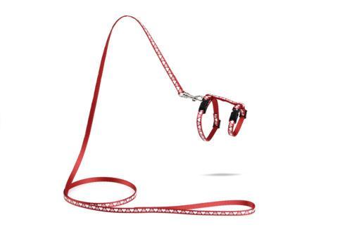 Yavru Kedi Göğüs Tasması ve Gezdirme Kayışı 120cm, Kırmızı, 16-25cm Boyun, 23-36cm Göğüs