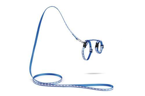 Yavru Kedi Göğüs Tasması ve Gezdirme Kayışı 120cm, Mavi, 16-25cm Boyun, 23-36cm Göğüs
