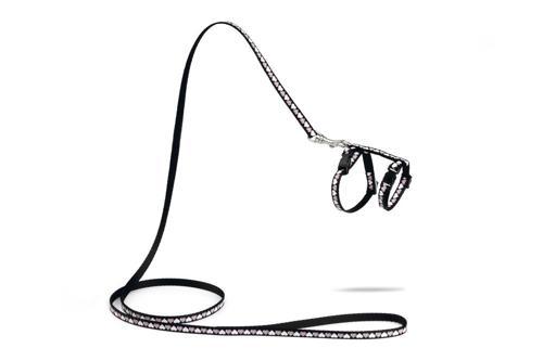 Yavru Kedi Göğüs Tasması ve Gezdirme Kayışı 120cm, Siyah, 16-25cm Boyun, 23-36cm Göğüs