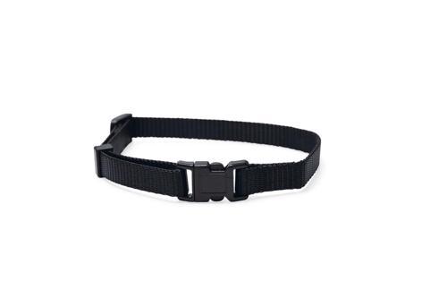 Yavru Köpek Boyun Tasması, Çeşitli Renklerde, 22-35cm, 10mm