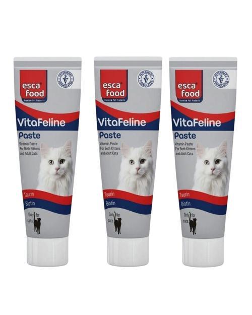 VitaFeline Destekleyici Multivitamin Paste 100Ml 3 Adet