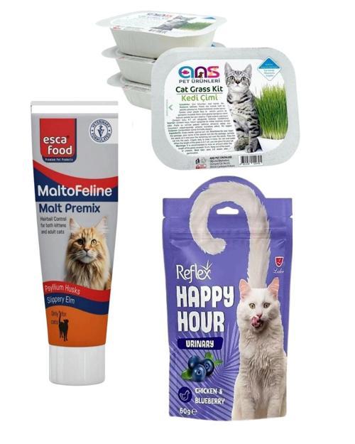 Tüy Yumağı Oluşumu Engelleyici Malt + Kedi Çimi + Ödül Maması