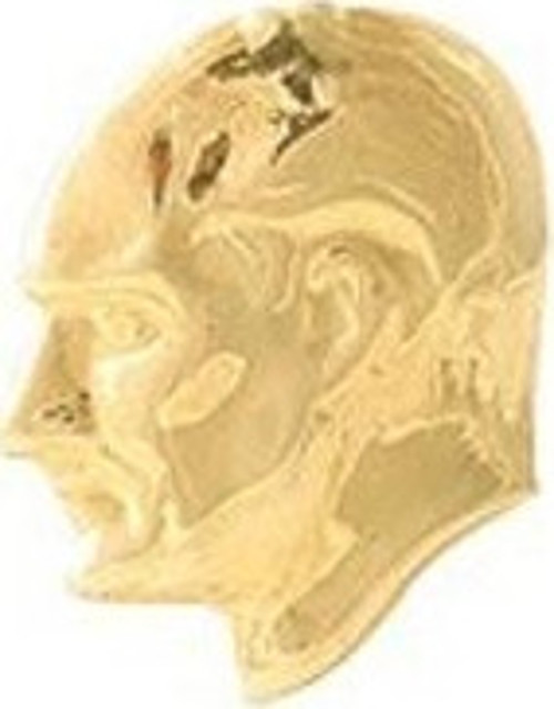 Vt607 Rozet Atalı Büst Sarı (Gold) Büyük Boy 30 Lu (1 Paket 30 Adet)
