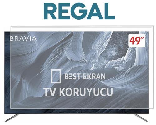 Regal 49" inç 124 Ekran Tv Ekran Koruyucu