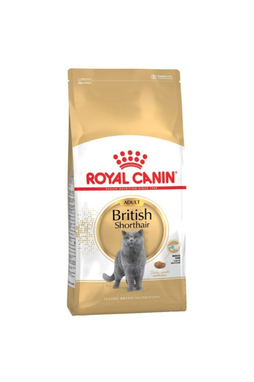 British Shorthair Adult Kuru Kedi Maması 2 kg
