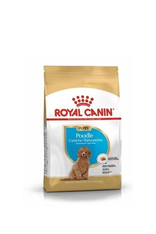 Poodle Puppy Köpek Maması 3 Kg
