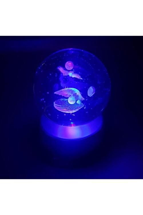 İstiridye Tasarımlı Kristal Cam Küre