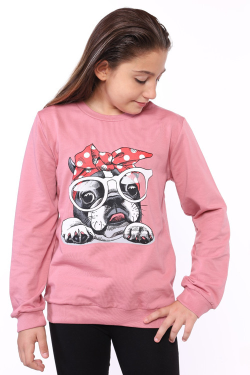 Toontoy Kız Çocuk Köpek Figür Baskılı Sweatshirt