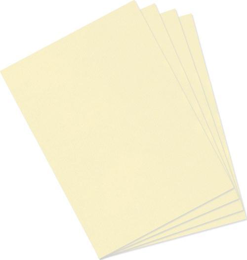 Dokulu Fon Kartonu Mi-Teintes Sh Canmt 50X65Cm 160 Gram Pastel Yelllow 407 31032S104 (10 Lu Paket)
