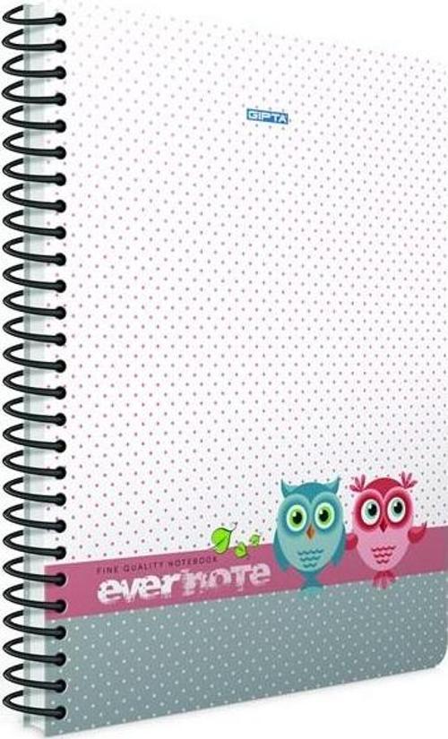 Evernote A4 Spiralli Ofset Pp Kapak Defter 100 Yaprak Çizgili (4 Lü Paket) 1696