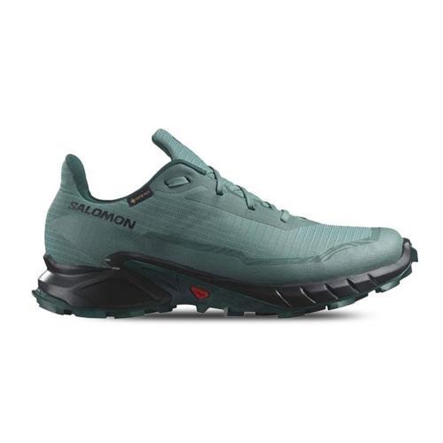 Erkek Outdoor Ayakkabı Alphacross 5 Gtx L47595000
