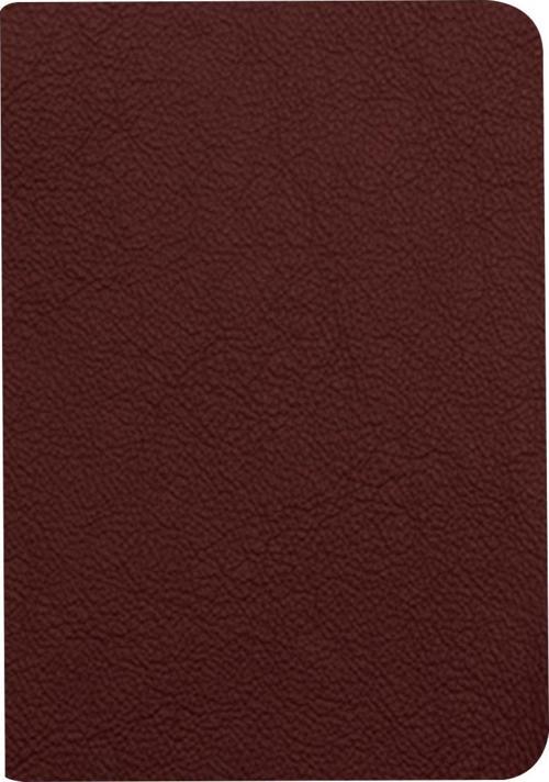 Not Defteri Deri Ciltli 13,5X19,5Cm 80 Yaprak Çizgili 410513-99 (Karışık Renk 1 Adet)