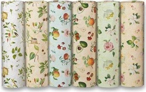 Rex Ambalaj Kağıdı Tekli Rulo Ecocarta Botanica 70X200Cm (50 Li Paket)