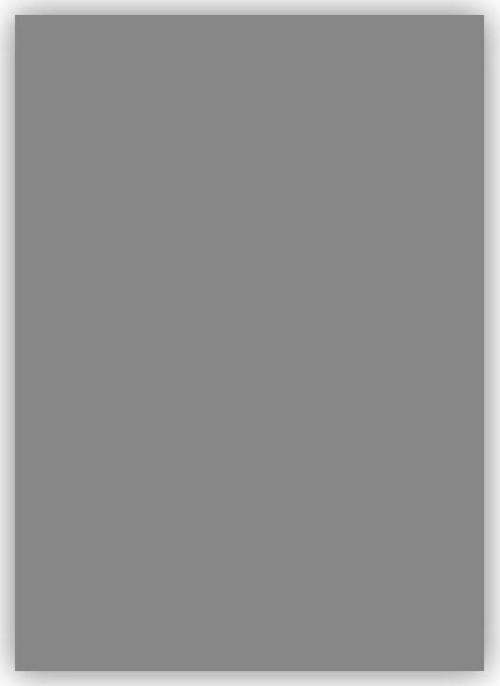 Fon Kartonu 50X70Cm 120 Gram Koyu Gri NE2100-GR21 (100 Lü Paket)
