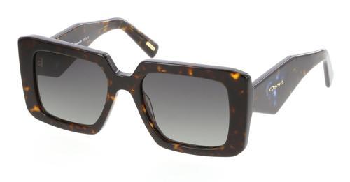 OS3703-02 51 Kadın Güneş Gözlüğü