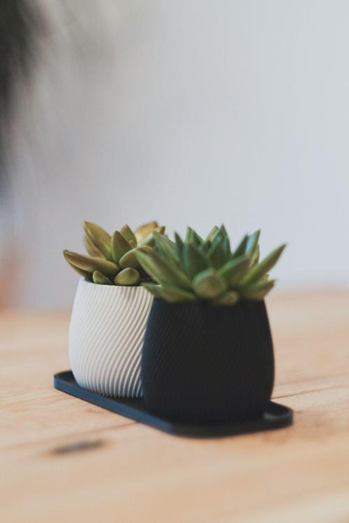 Modern Minimal Saksı