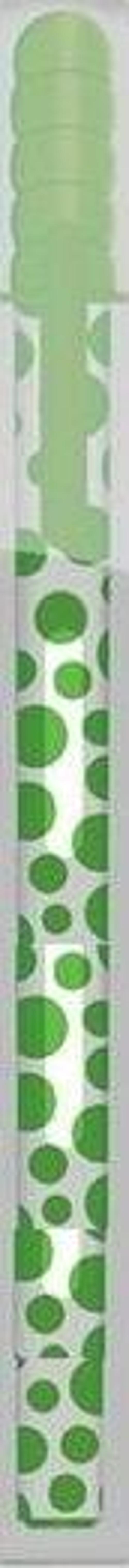 Jel Tükenmez Kalem Jely Neon Yeşil 2801 (12 Li Paket)