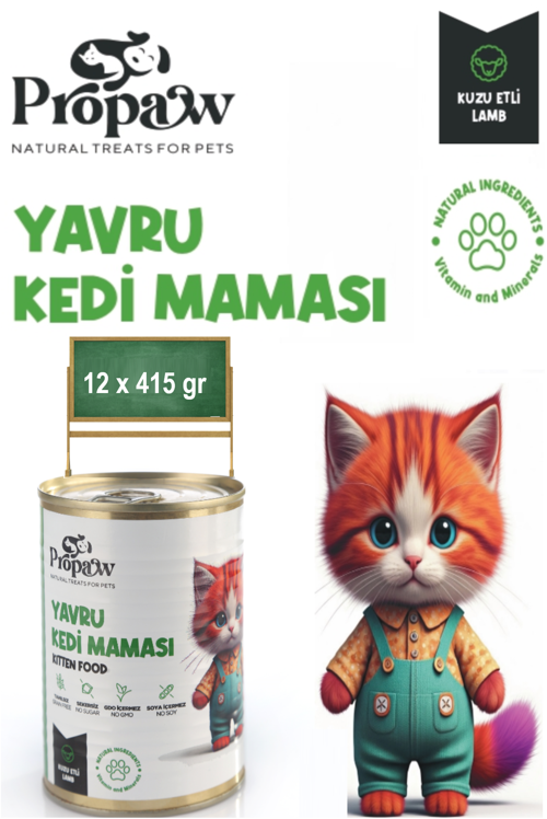 Yavru Kedi Yaş Mama Kuzu Konserve Jöleli Premium Parça Etli Besleyici Tahılsız İçerik 12 x 415 gr