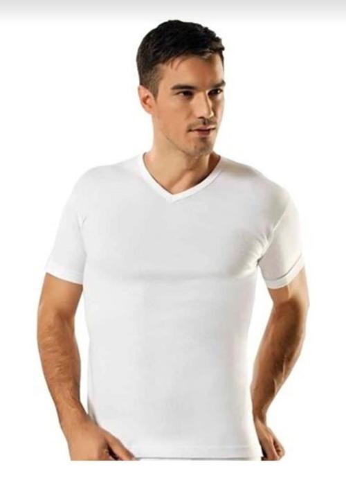 60 ERKEK RİBANA V YAKA KISA KOL FANİLA ATLET 3 ADET