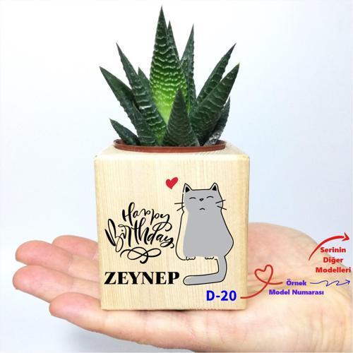 Kişiye Özel Doğum Günü Hediyesi Küp Saksı ve Haworthia Sukulent Z1 Serisi