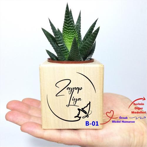 Kişiye Özel İsim Yazılı Ahşap Küp Saksı ve Haworthia Sukulent B Serisi
