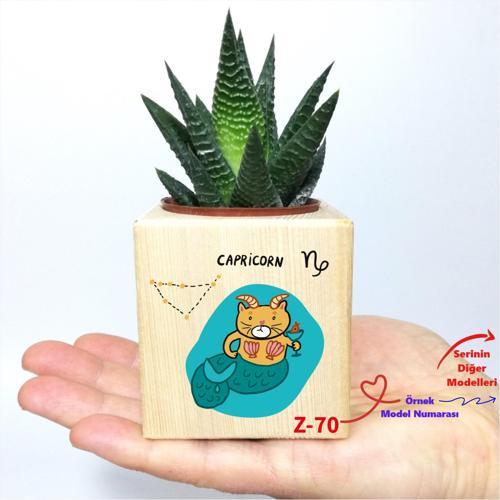 Kişiye Özel İsim Yazılı Küp Saksı ve Haworthia Sukulent Z2 Serisi