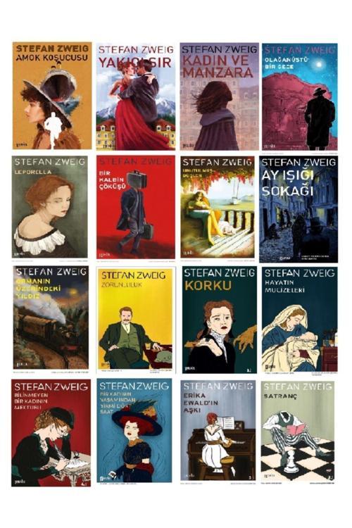 Puslu Yayıncılık Stefan Zweig Set (16 Kitap)