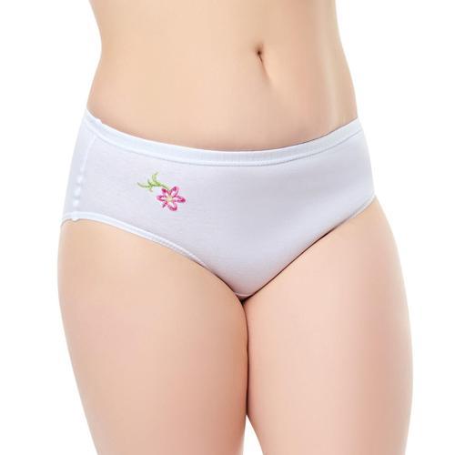 12 li Paket Seher Yıldızı Bayan Pamuklu Bayan Külot Beyaz