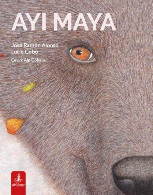 Büyülü Fener Ayı Maya