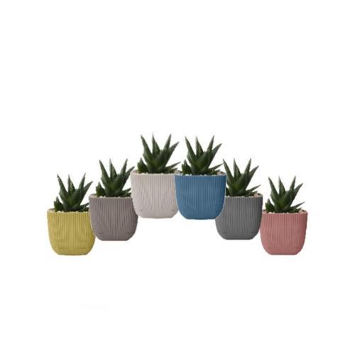KRS-381 Dekoratif Plastik Mercan Kare Saksı 0.27 lt 6 Renk Set
