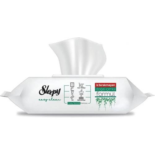 Easy Clean Beyaz Sabun Katkılı Yüzey Temizlik Islak Havlusu - 100'LÜ 3 Paket