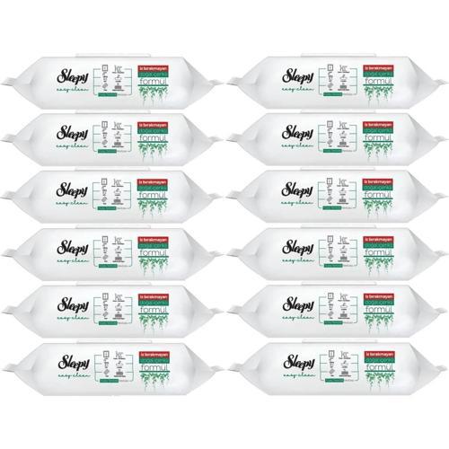 Yüzey Temizlik Havlusu 100 Lü 12 adet